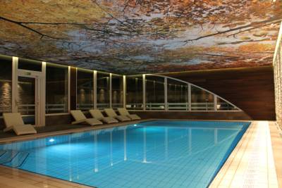 Imagen de la piscina del Hotel Logis L'or&eacute;e Du Bois. Foto 7