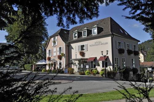Imagen general del Hotel Logis Restaurant Muller. Foto 1
