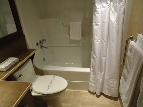 Imagen de la habitación del Hotel L'oiseliere Montmagny. Foto 10