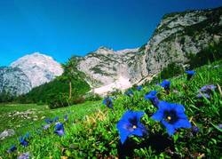 Imagen general del Hotel Loisi's Boutiquehotel. Foto 35