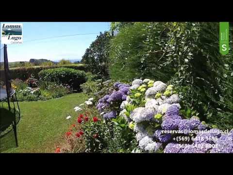 Imagen de los interiores del Hotel Lomas del Lago. Foto 5