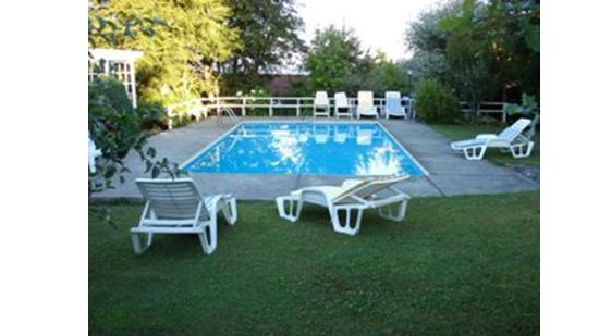 Imagen de la piscina del Hotel Lomas del Lago. Foto 7