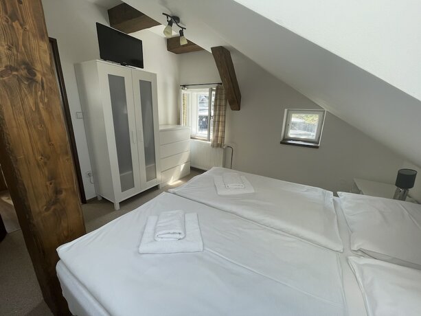 Imagen general del Hotel Lomnice. Foto 3