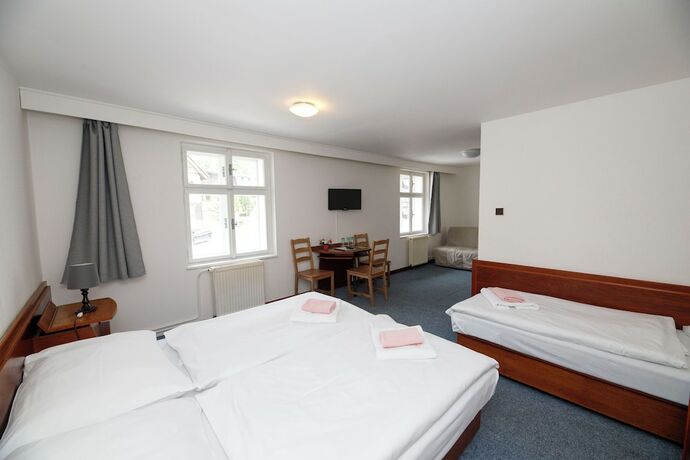 Imagen general del Hotel Lomnice. Foto 4