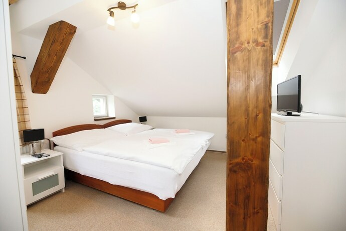 Imagen general del Hotel Lomnice. Foto 6