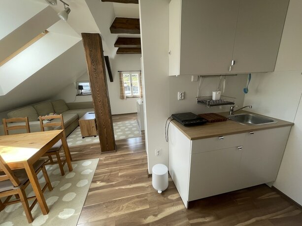 Imagen de la habitación del Hotel Lomnice. Foto 18