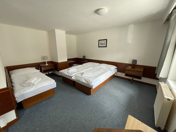 Imagen de la habitación del Hotel Lomnice. Foto 20