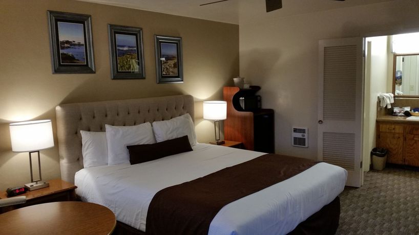 Imagen de la habitación del Hotel Lone Oak Lodge. Foto 11