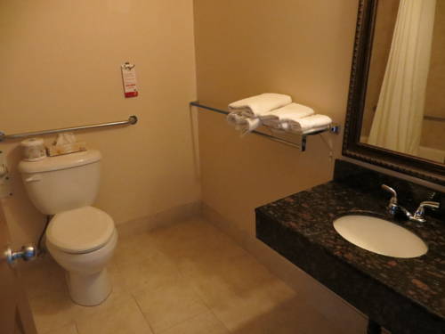 Imagen de la habitación del Hotel Lone Star. Foto 6