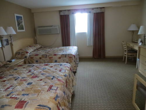 Imagen de la habitación del Hotel Lone Star. Foto 10