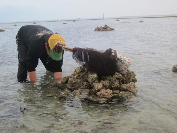 Imagen de los exteriores del Hotel Long Beach Private Lodging. Foto 16