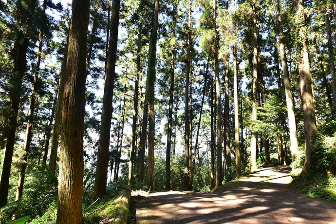 Imagen de los interiores del Hotel Long Yun Farm. Foto 15