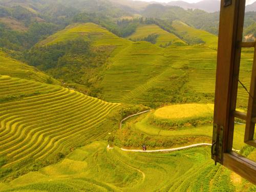 Imagen de la habitación del Hotel Longji Rice Terraces Tian Ranju Inn. Foto 3
