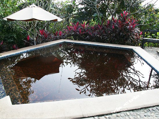 Imagen de la piscina del Hotel Longmen Natural Hotspring Resort. Foto 7