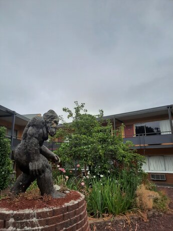 Imagen general del Hotel Longview Inn. Foto 10