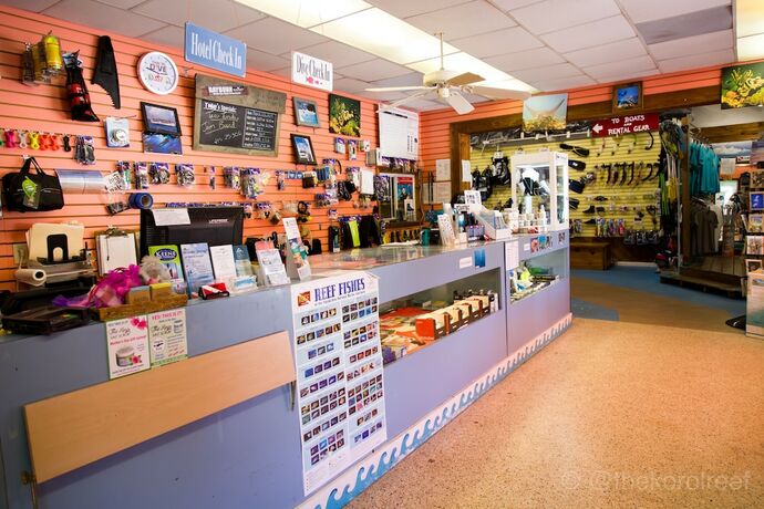 Imagen general del Hotel Looe Key Reef Resort and Dive Center. Foto 8