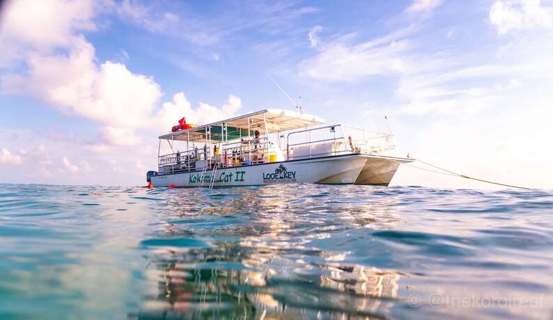 Imagen general del Hotel Looe Key Reef Resort and Dive Center. Foto 14