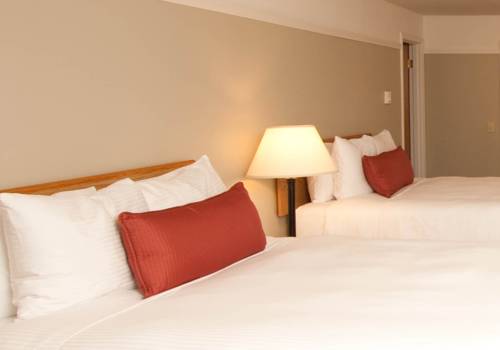 Imagen de la habitación del Hotel Looking Glass Inn. Foto 10