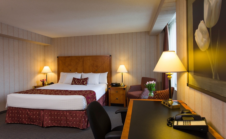 Imagen de la habitación del Hotel Lord Elgin. Foto 8