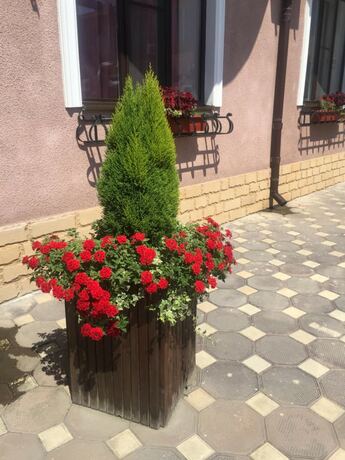 Imagen general del Hotel Lord, Makhachkala. Foto 7