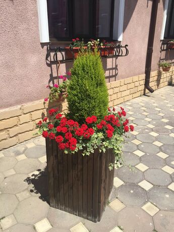 Imagen general del Hotel Lord, Makhachkala. Foto 14