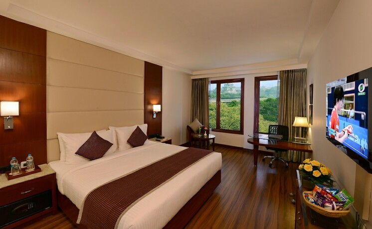 Imagen de la habitación del Hotel Lords Plaza, Jaipur. Foto 14