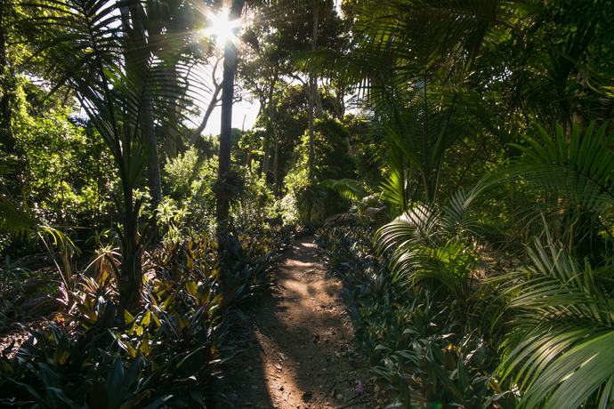 Imagen de los exteriores del Hotel Lorhiti Apartments. Foto 16