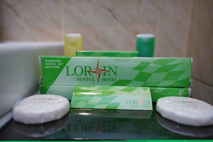 Imagen de la habitación del Hotel Lorin Sentul. Foto 11