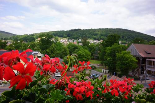 Imagen de la habitación del Hotel Lorösch. Foto 6