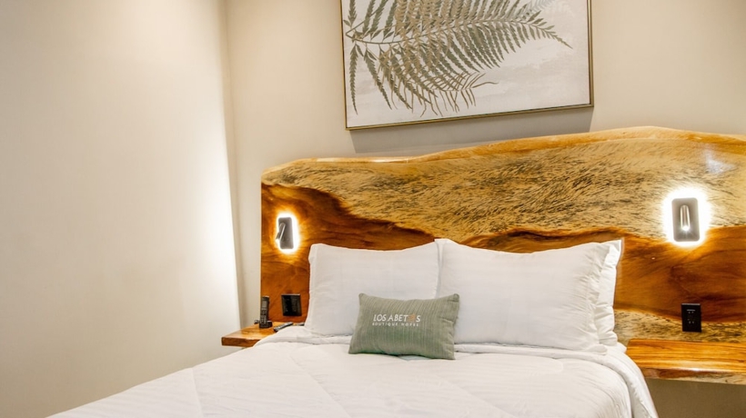 Imagen de la habitación del Hotel Los Abetos Boutique. Foto 3