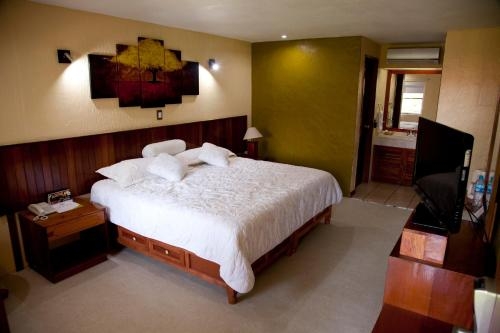 Imagen de la habitación del Hotel Los Andes, COATZACOALCOS. Foto 7
