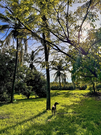 Imagen general del Hotel Los Angeles, San Pedro Pochutla. Foto 5