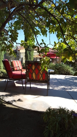 Imagen de los interiores del Hotel Los Arboles. Foto 13