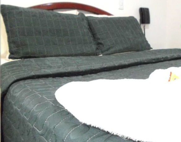 Imagen de la habitación del Hotel Los Balcones. Foto 15