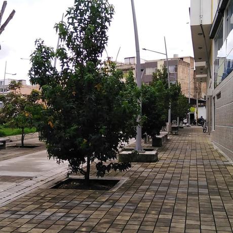 Imagen general del Hotel Los Balsos. Foto 6