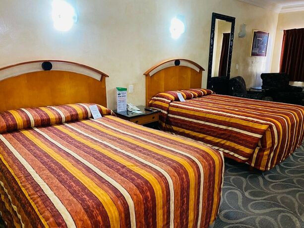 Imagen general del Hotel Los Cedros Inn, TORREÓN. Foto 4
