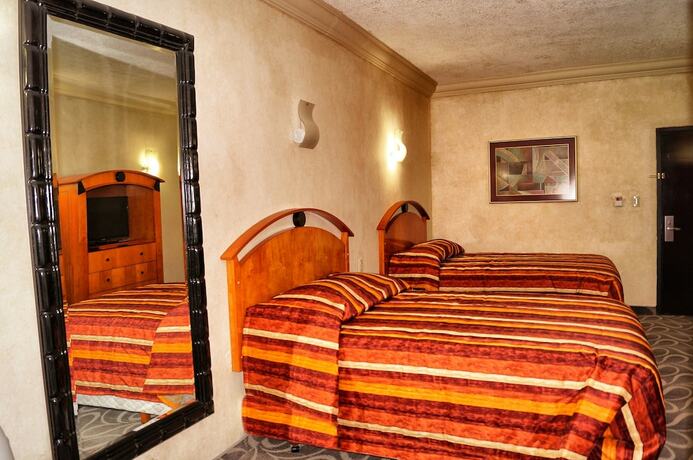 Imagen general del Hotel Los Cedros Inn, TORREÓN. Foto 7