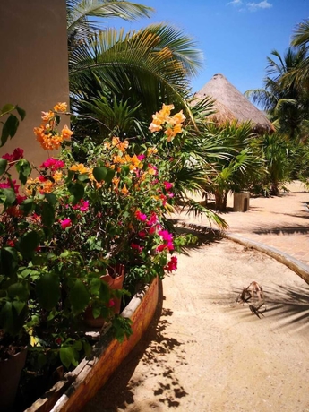 Imagen general del Hotel Los Cocos de Chac&aacute; Playa Progreso. Foto 4