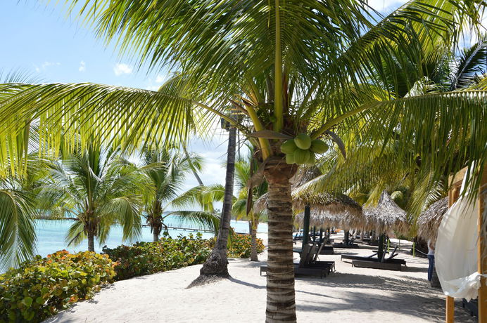 Imagen de los exteriores del Hotel Los Flamencos. Foto 15