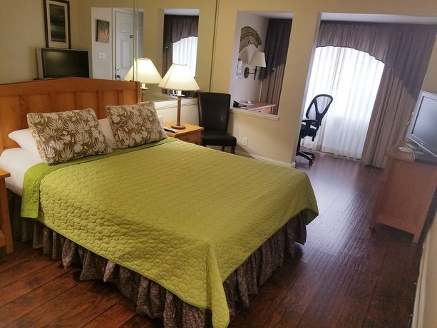 Imagen de la habitación del Hotel Los Gatos Garden Inn. Foto 12