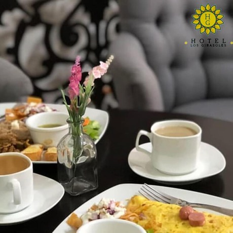 Imagen del bar/restaurante del Hotel Los Girasoles, Tepic. Foto 3