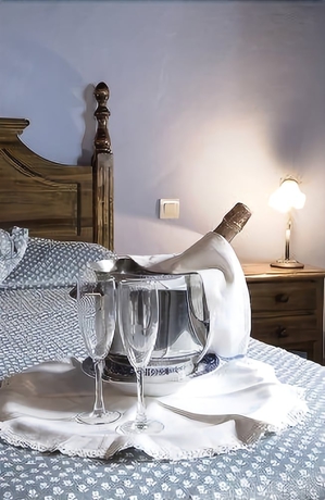 Imagen de la habitación del Hotel Los Jarales. Foto 16