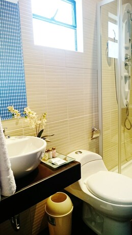 Imagen de la habitación del Hotel Los Leones Boutique. Foto 13