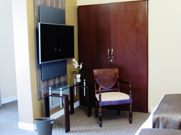 Imagen de la habitación del Hotel Los Leones Boutique. Foto 24