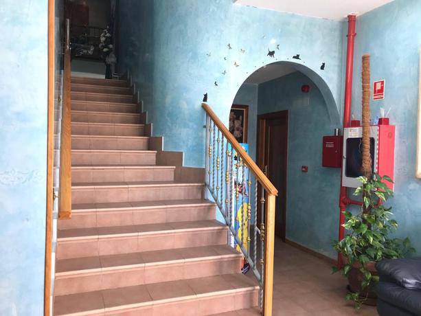 Imagen de los interiores del Hotel Los Leones, San Martín de la Vega. Foto 19