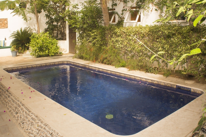 Imagen de la piscina del Hotel Los Milagros. Foto 14