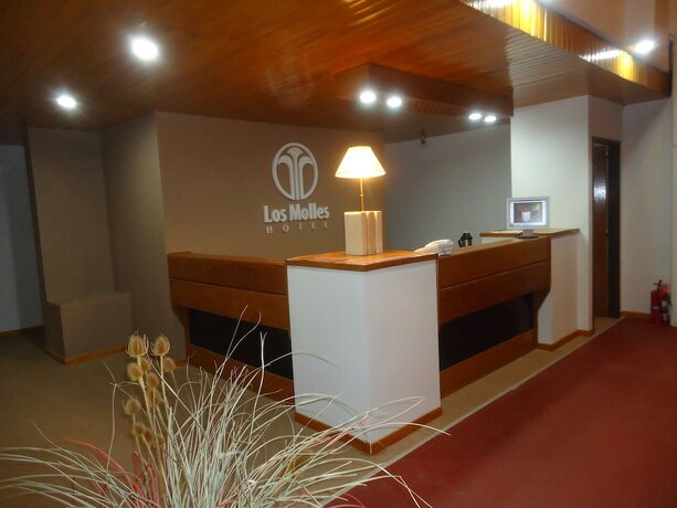 Imagen general del Hotel Los Molles. Foto 10