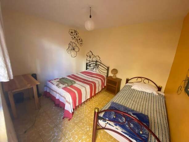 Imagen general del Hotel Los Nardos Hostel. Foto 5