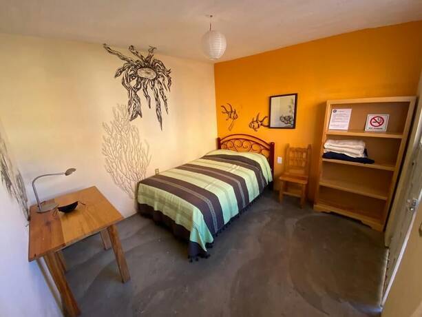 Imagen general del Hotel Los Nardos Hostel. Foto 8