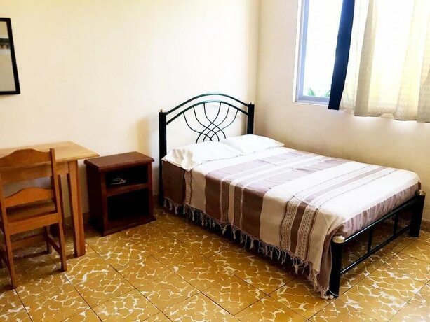 Imagen de la habitación del Hotel Los Nardos Hostel. Foto 20
